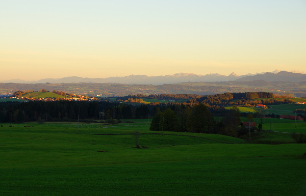 Blick über Buchenberg am Abend