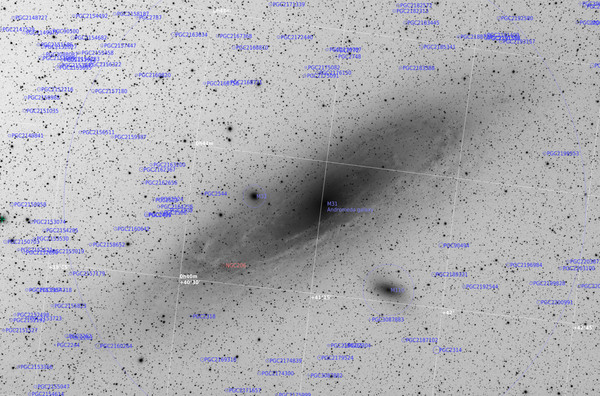 M31, M32, M110 und zahlreiche schwache, weit entfernte Galaxien